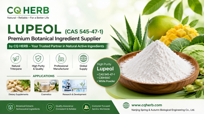 CQ HERB 루페올 공급업체 및 제조업체 | 고순도 루페올 CAS 545-47-1